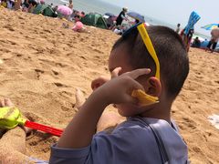 -日照海滨国家森林公园