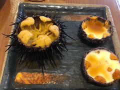 活海胆-海胆小馆(春柳店)