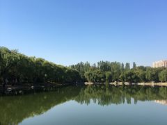 -青城公园
