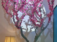 -周渝食惦·酸菜鱼精致川菜(横岗店)