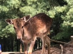 -云南野生动物园