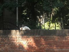 -长安大学(北校区)