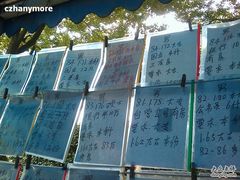 -人民公园-相亲角