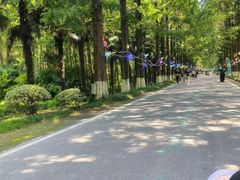 -黄海国家森林公园