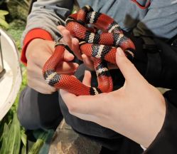 -酷嗒动物文化乐园(cutezoo西溪乐天城店)