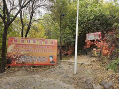 -第五季龙水凤港生态露营农场