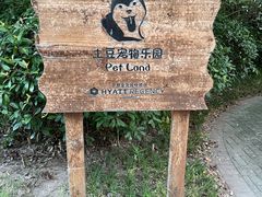 -上海崇明金茂凯悦酒店