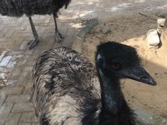 -武汉紫薇都市田园