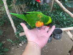 -南宫五洲植物乐园