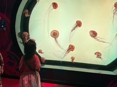 -沈阳海洋探索中心