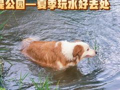 -绿堤公园
