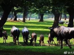 -西安秦岭野生动物园