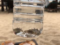 -三亚湾海居铂尔曼度假酒店