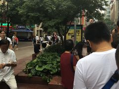 -泰康食品有限公司食品厂