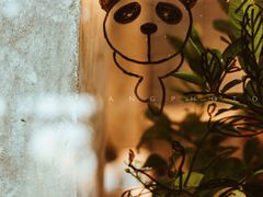 -腾爱熊猫咖啡生活馆(老东门店)