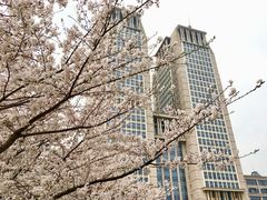 -复旦大学光华楼