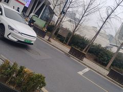 -生蚝园