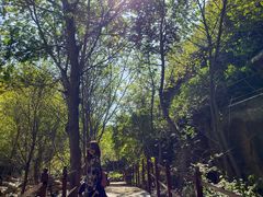 -北京密云天门山风景区
