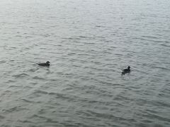 -鮨人饭团(浦口大洋百货店)