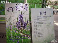 SPA55199-苏州太湖西山岛开心农场