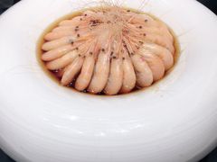 太白长江虾-民国红公馆·秦淮八艳(夫子庙店)