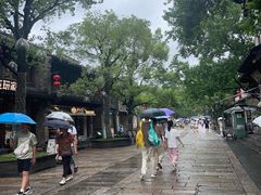 -狮王府淮扬菜(夫子庙老门东店)