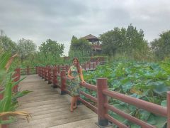-长兴太湖图影湿地文化园