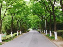 -白塘生态植物园