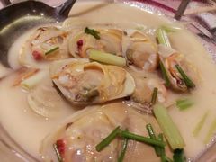 桂花贝-新陶陶酒家