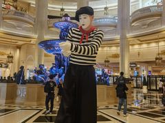 -澳门威尼斯人综合度假区