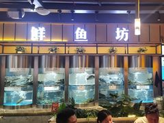 -老船舫·现做活鲜鱼馆(东郊记忆店)