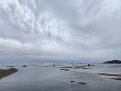 -仙人岛