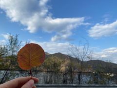 -黑龙潭风景区