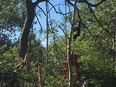 -阿提斯皇家动物园
