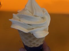 -春丽小马(济南恒隆广场店)