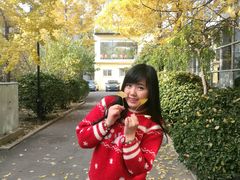 -三里屯东五街银杏大道