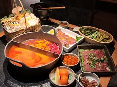 鸳鸯锅-大龙燚·旷野鲜火锅(广州首店)