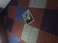 -爱上影私人影院(农院路店)