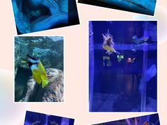 -太平洋海底世界