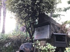 -厦门日月谷温泉渡假村