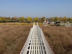 -嘉北郊野公园
