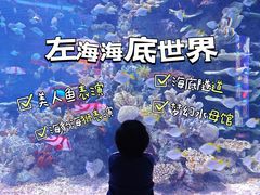 -左海海底世界