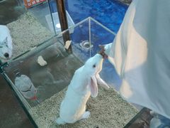-太奥幻太奇海洋馆