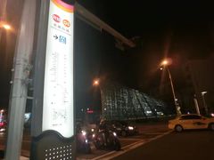 -捷运美丽岛站(The Dome of Light)