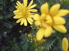 -胖哥川菜馆(武东路店)