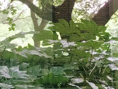 -上海市龙华烈士陵园