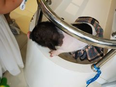 -怪兽屋·羊驼·猫咖·狗咖(俊华广场店)