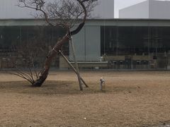 -金泽21世纪美术馆