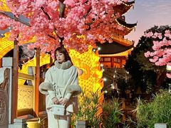 -厦门方特东方神画