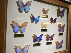 -上海昆虫博物馆